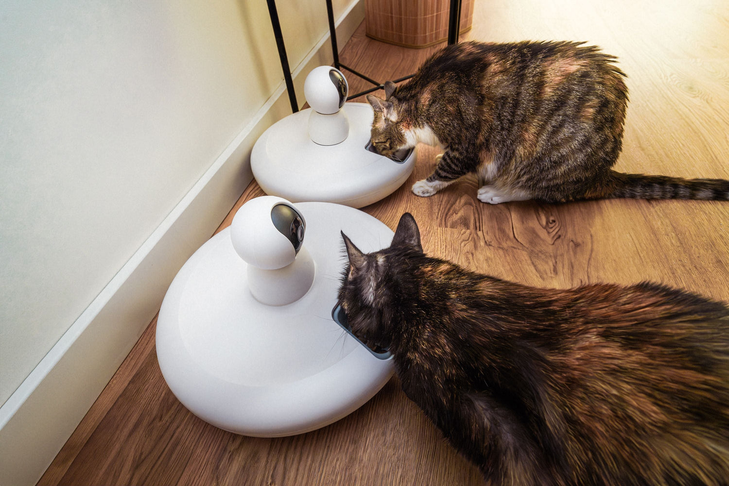 Smart & Hands-Free Pet Parenting