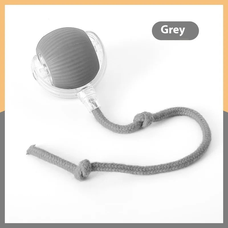 Interactive Automatic Cat Ball Toy